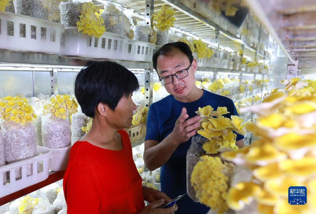 免费白菜网站大全